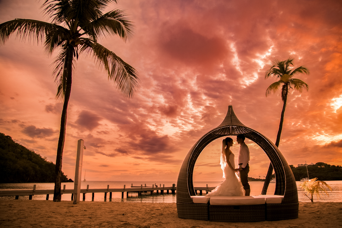 antigua wedding photographer- palm trees and sunset